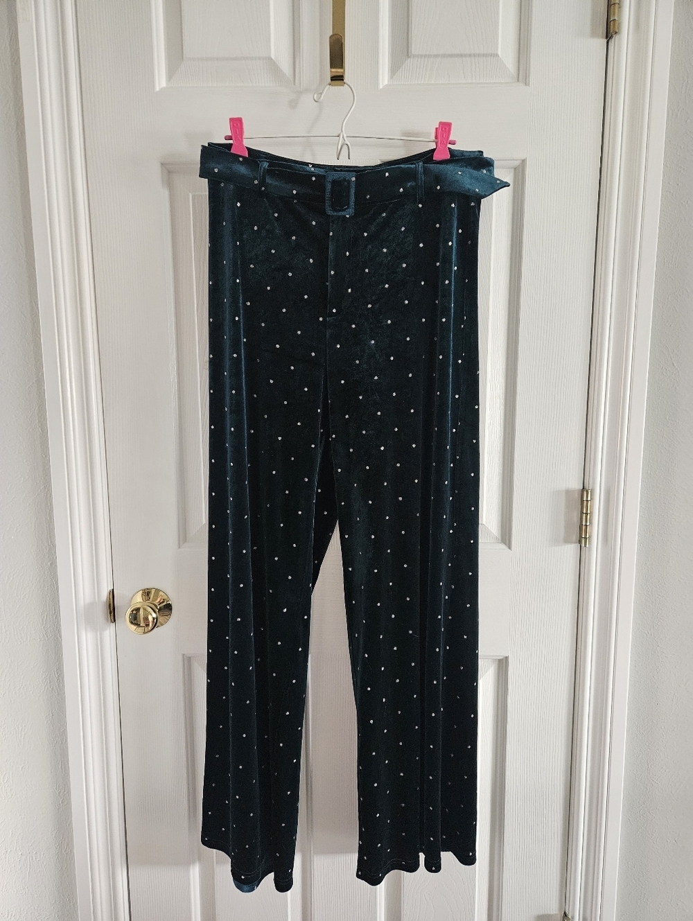 NWT Cider Diamond Detailed Wide Leg Velvet Trousers With Belt